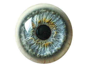 Renkli Lens
